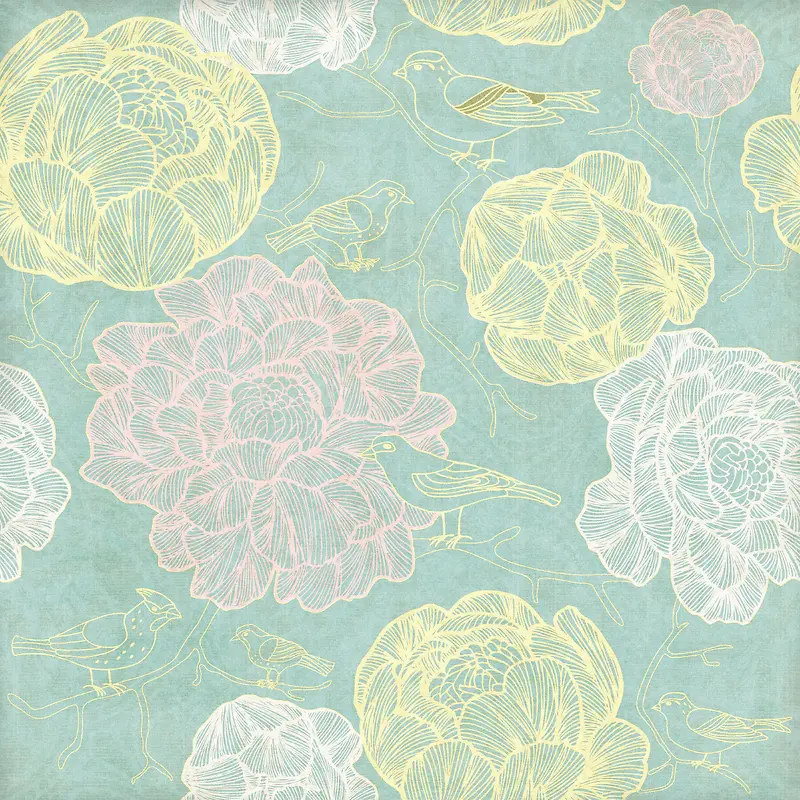 ���ɻ���ͼ������-������