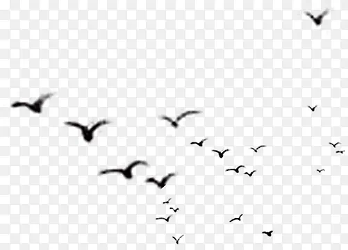 �ڰ�ɫ����Ⱥ�Ϸ�-������