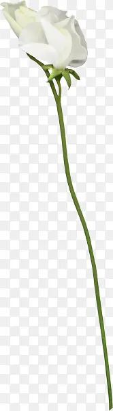 ��ɫ����С��-������