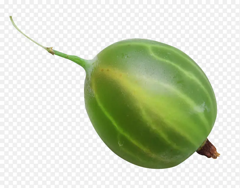 ��ɫװ�� ��ʵ-������