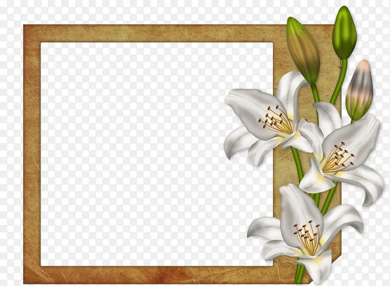 �������±߿�װ��-������