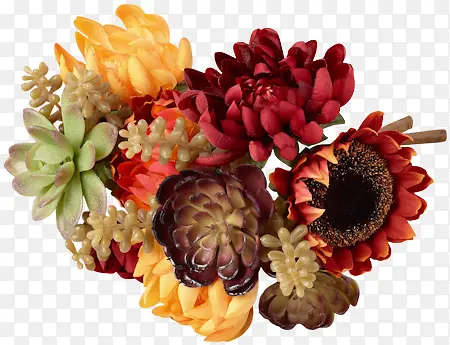 ��Ʒʵ�����ֲ��-������