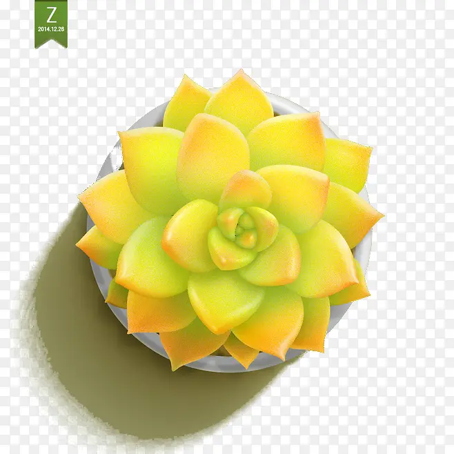 ����-������