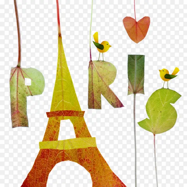 ����Ҷ����-������