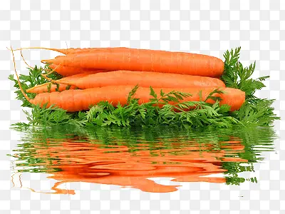 �����ܲ�-������