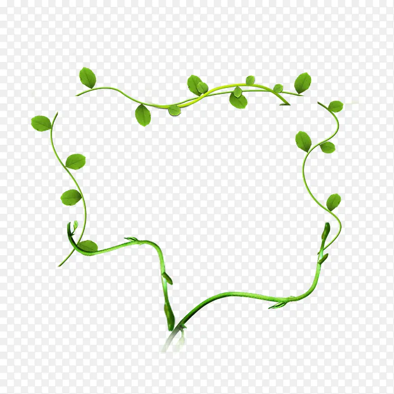 ��ɫСҶ�������߿�-������