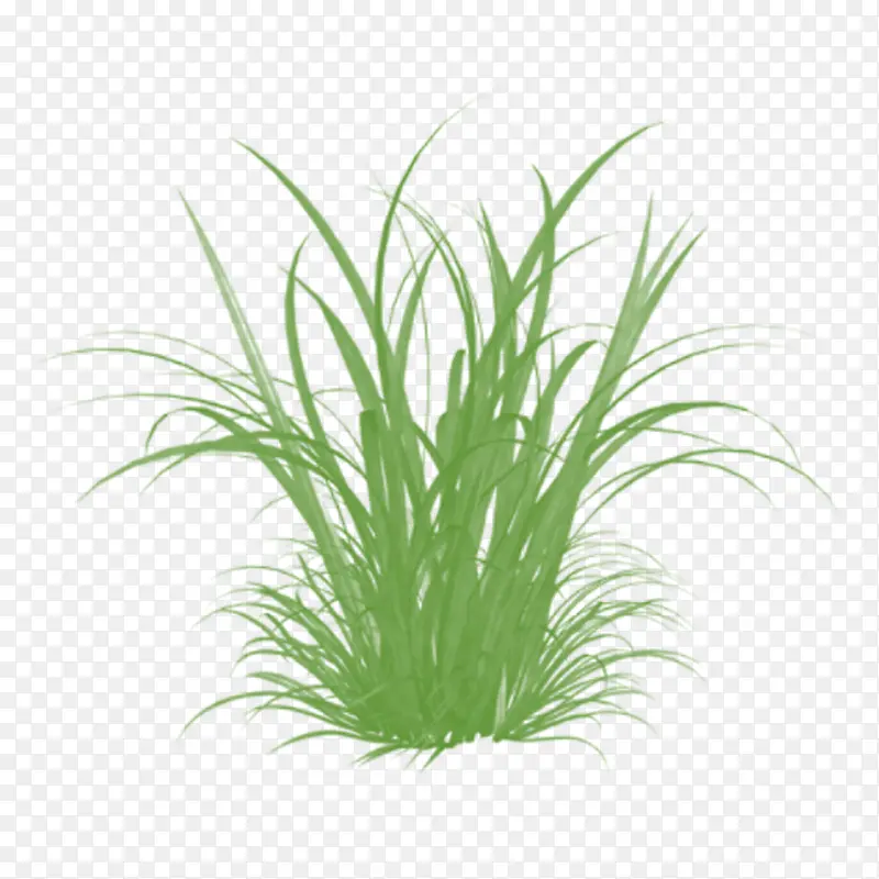 ��ɫ�Ĳ�-������