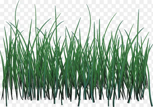 �ݣ��ݶѣ��Ա��زģ���ɫ-������