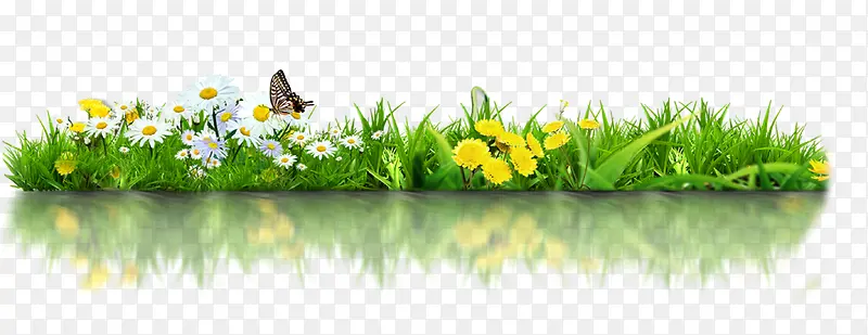 �ݣ��ݶѣ���ɫ���Ա��ز�-������