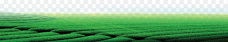 �̲ݣ��ݵأ��侰-������