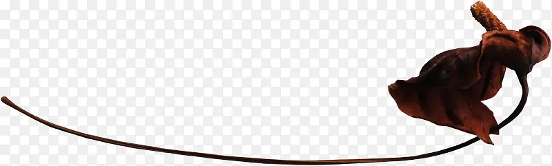 ��ɫ��֦��Ҷ-������