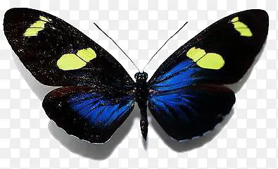 ��ɫ����-������