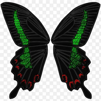 �������-������