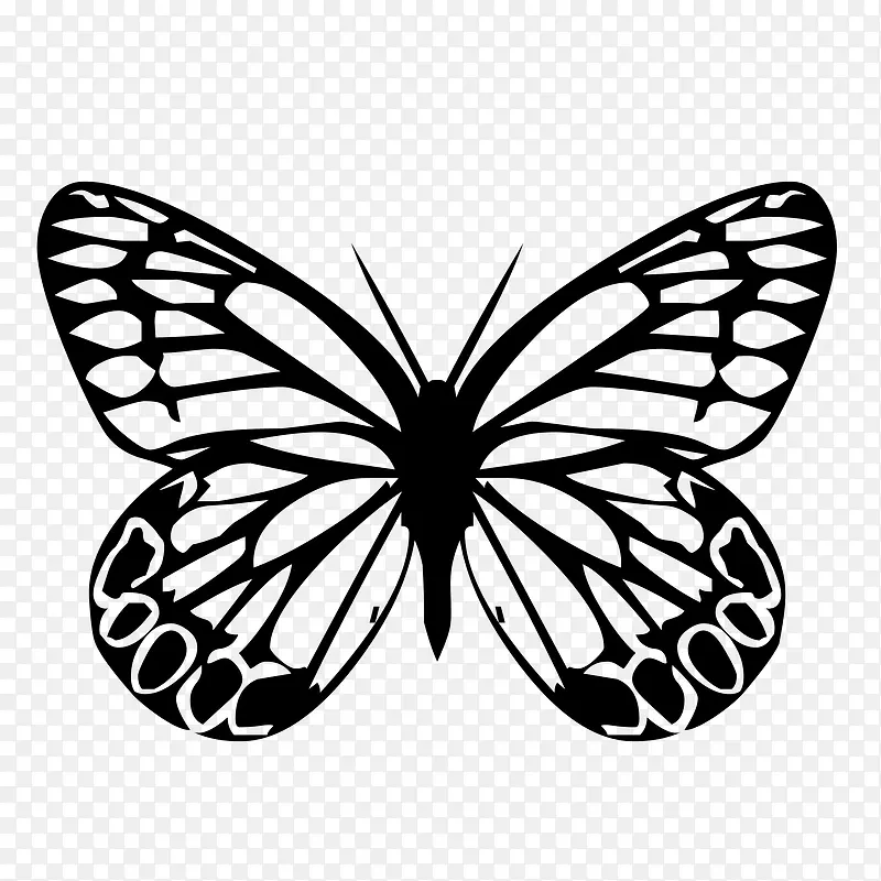 �ڰ�ɫ����-������