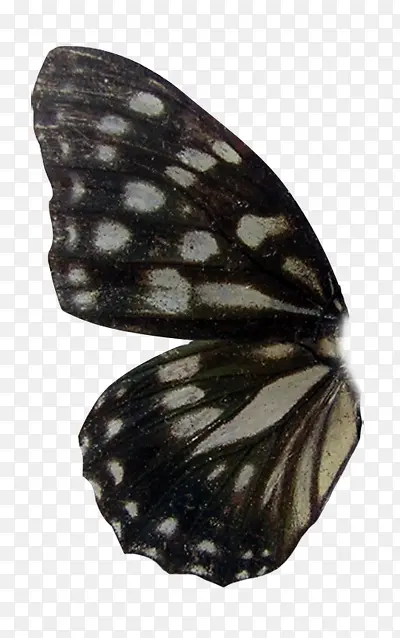 ���-������