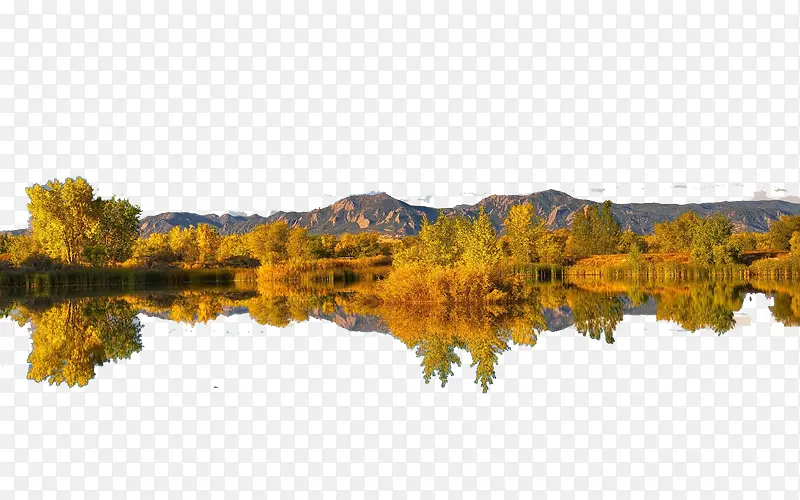 ɽ��-������