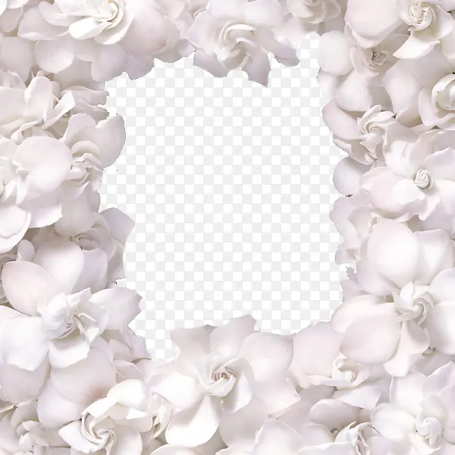 ���⻨�걳��-������