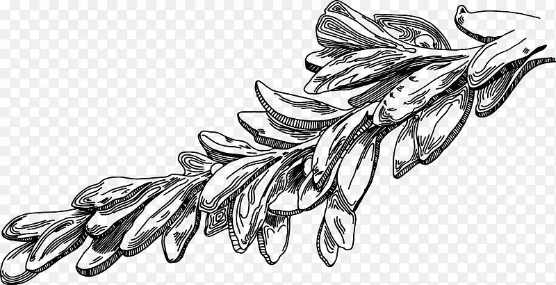 ��ֲ֦�����辫��-������