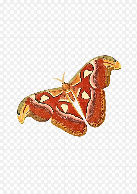 ��ɫ�������걾-������