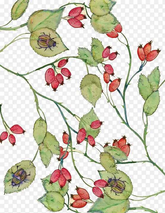 �ֻ�С��������-������