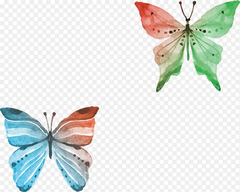 ˮ�ʺ���-������