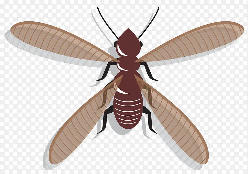 ����ʸ����ͨ����-������