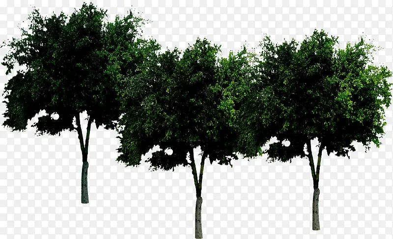 �̵�ֲ�����۴���-������