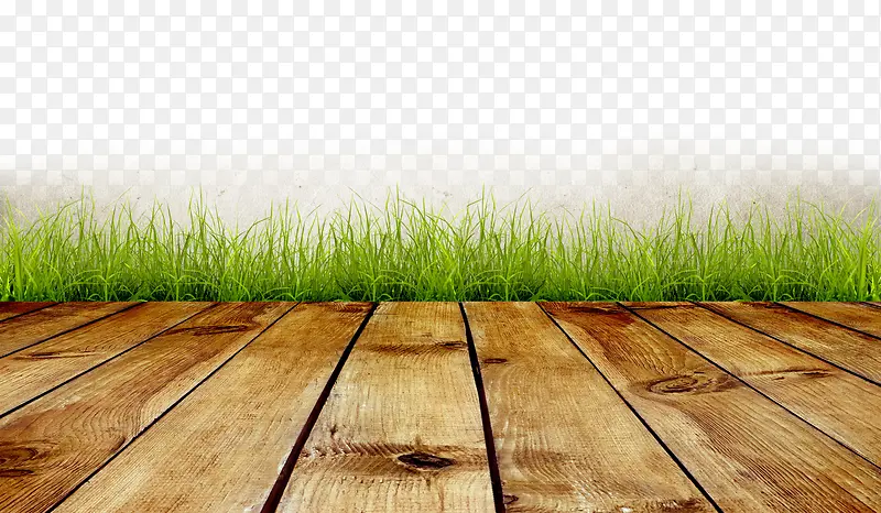 �ذ�ݵ�-������