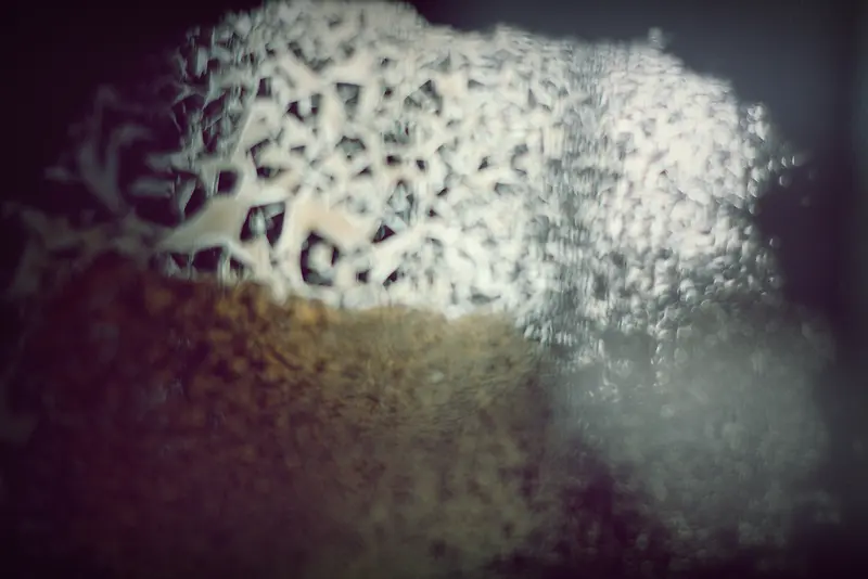 ֯���ս�����-������