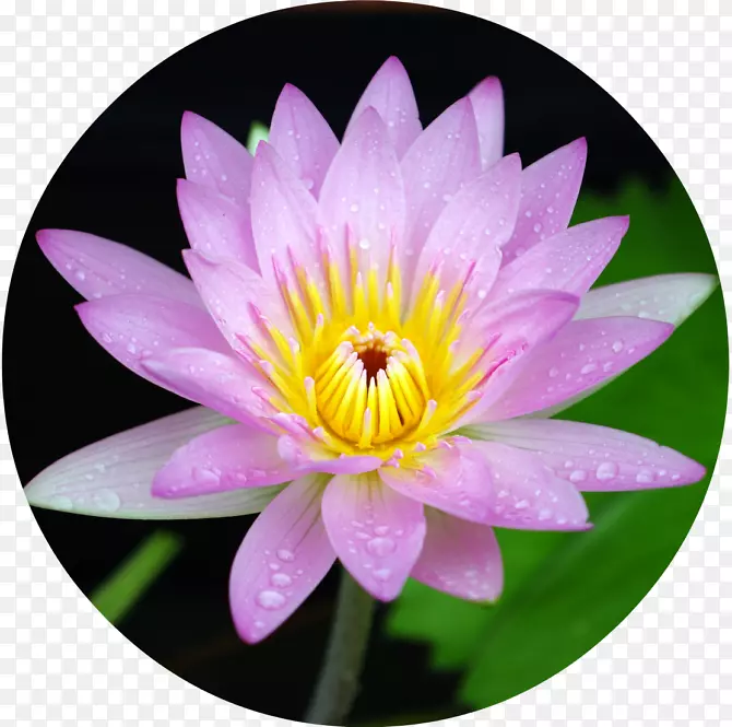 ������������-ˮ�ٺ�-������