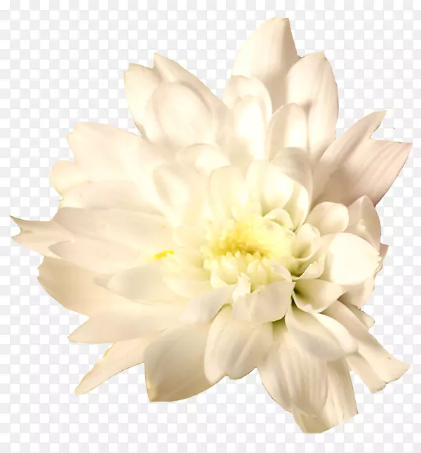 �л��ջ�-������