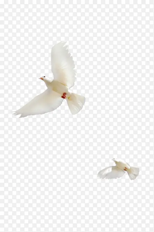 ǩ��ǽװ�θ������ͼ�ز�-������