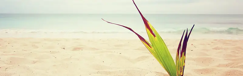 ɳ̲����-������