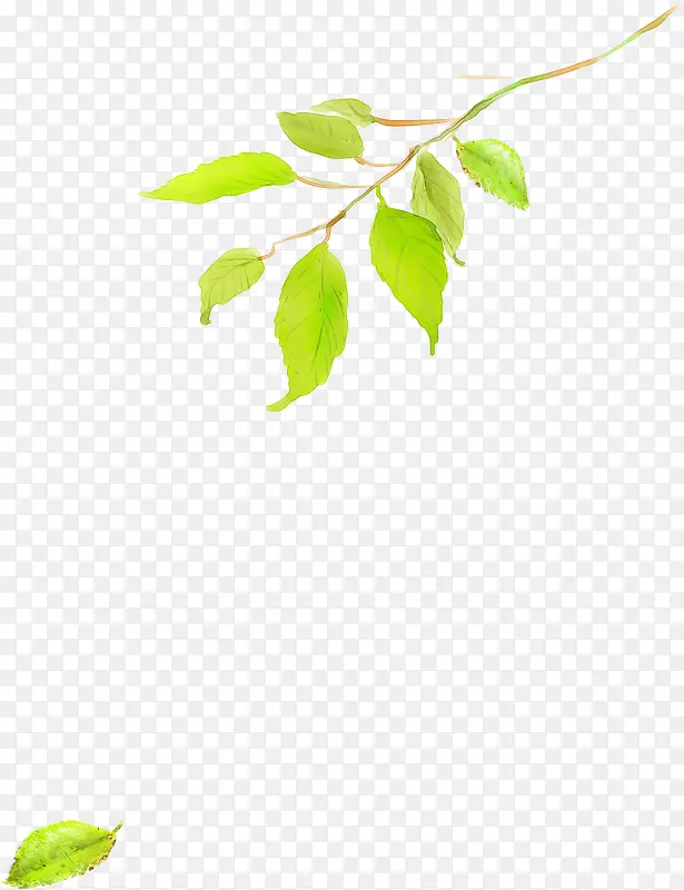 �ֻ�Ҷ�Ӵ�����Ŀ-������