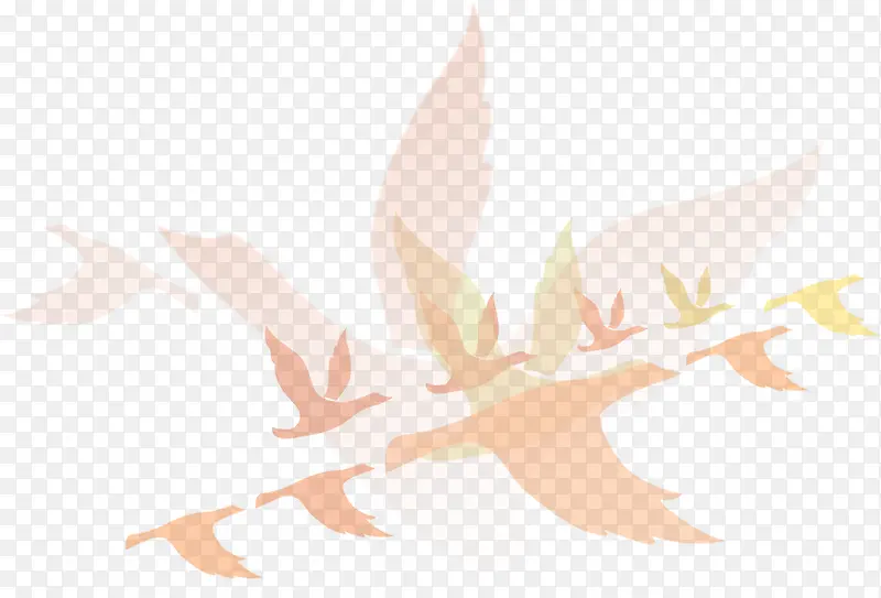 ��ɫ����-������