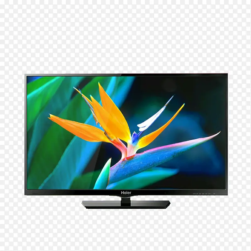 ��Ʒʵ�ﺣ�����ӻ�-������