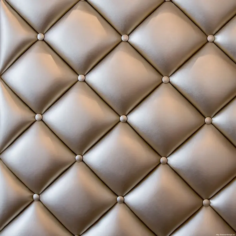 �ߵ�Ƥ��������Ա���ǽ-������