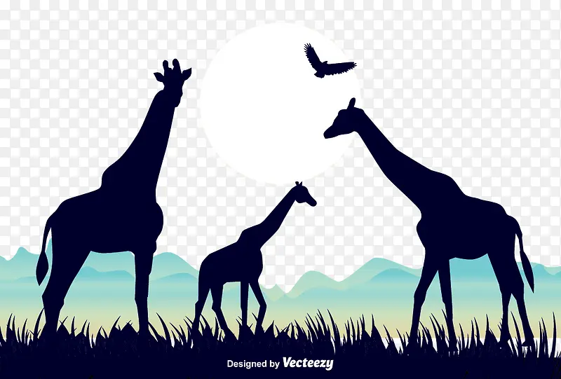 ����¹��ʸ���ز�-������