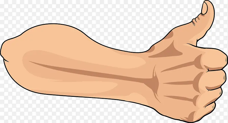 ��ָ�����ز�-������