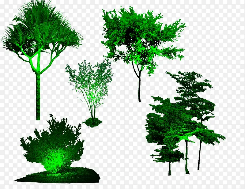 �ƹ�����1-������