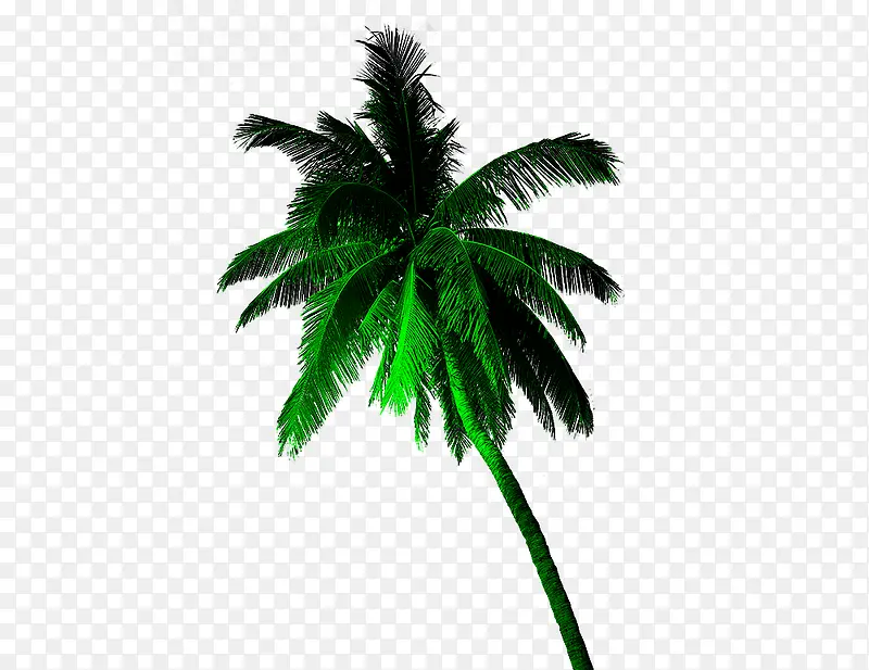 �ƹ�����4-������