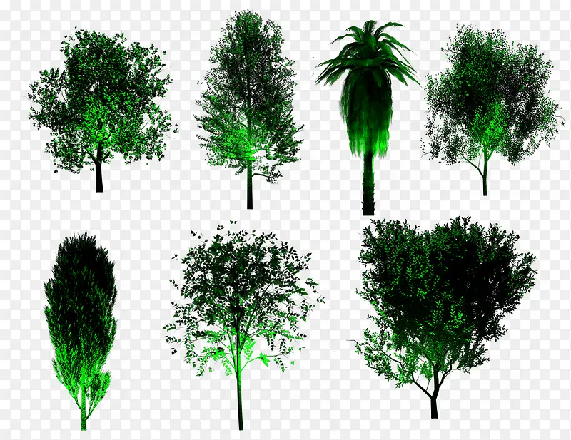 �ƹ�����-������