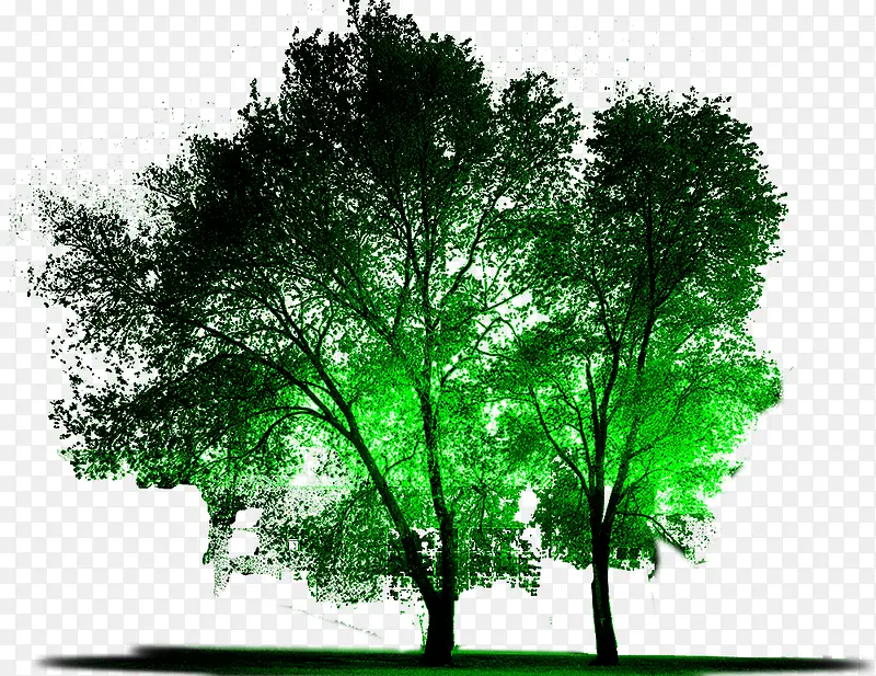 �ƹ�����2-������