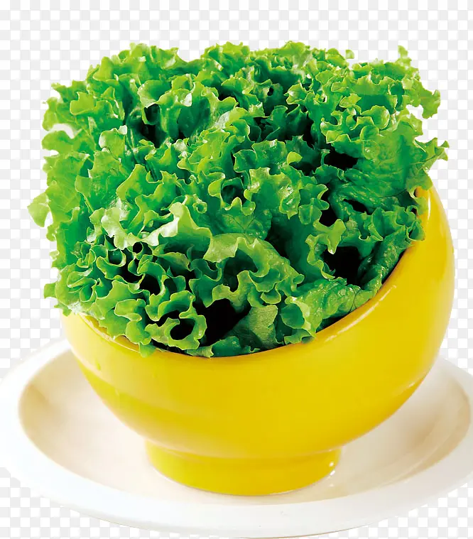 ������������ʳ-������