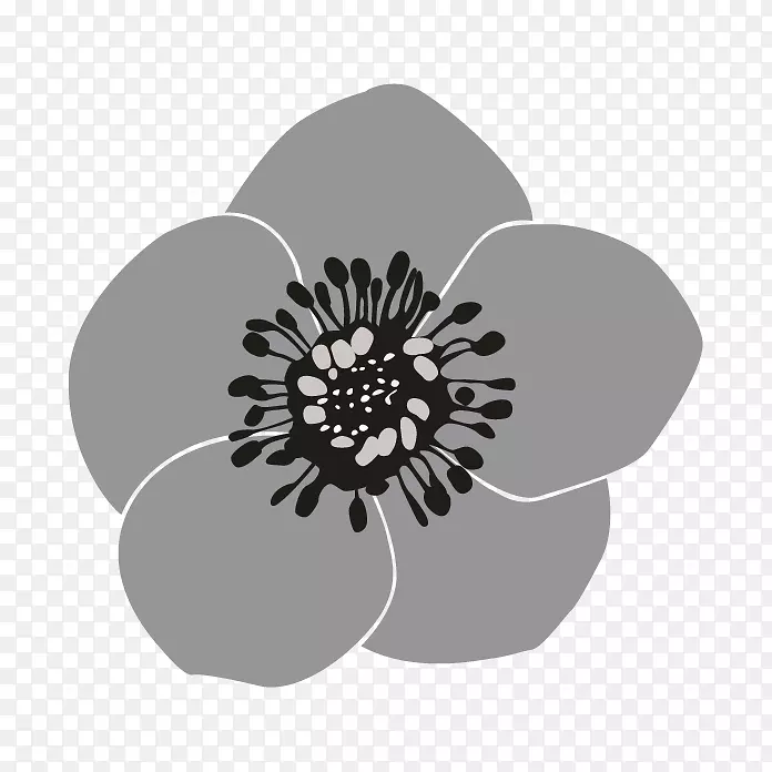 ����ֲ�ﻨ�꿪��ֲ��-���ʱ�Ե-������