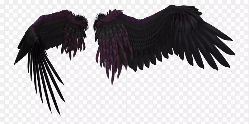 ���������ֽ-���-������