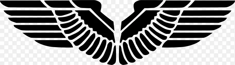 ͺӥ����������-������