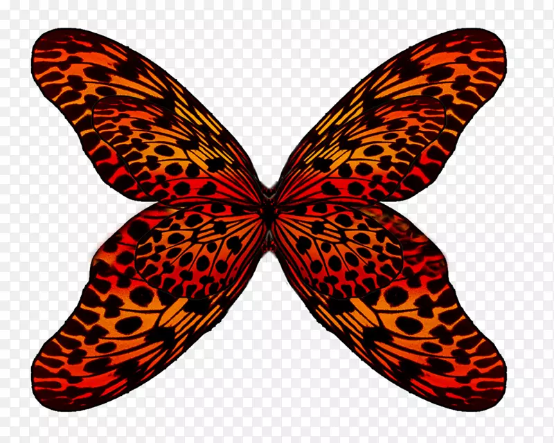 ����������-���-������