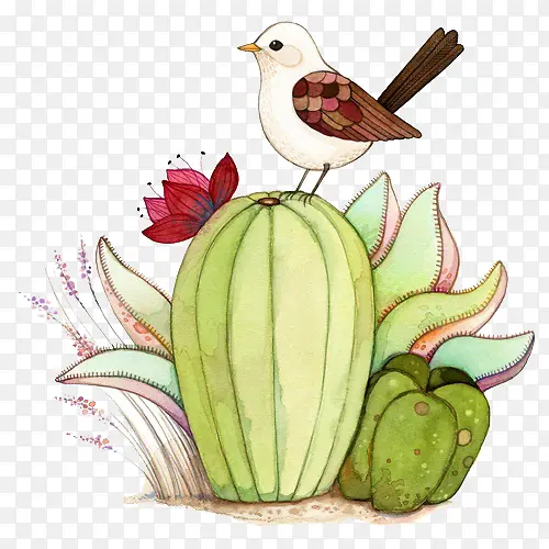 ��ͨ�߲˺�С��-������