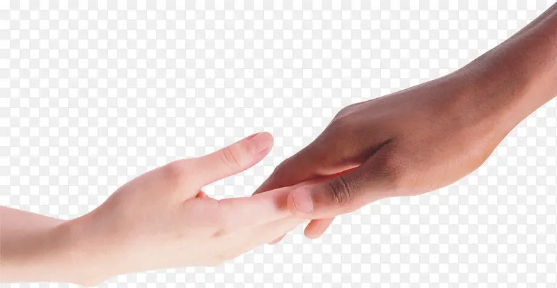 ǣ��-������